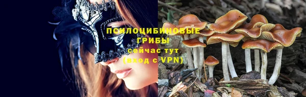 тгк Горно-Алтайск
