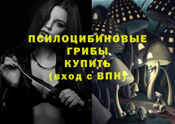 тгк Горно-Алтайск