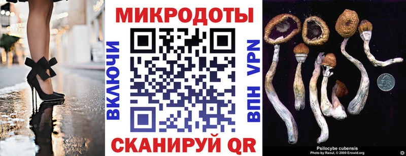 Псилоцибиновые грибы Magic Shrooms  Дно 